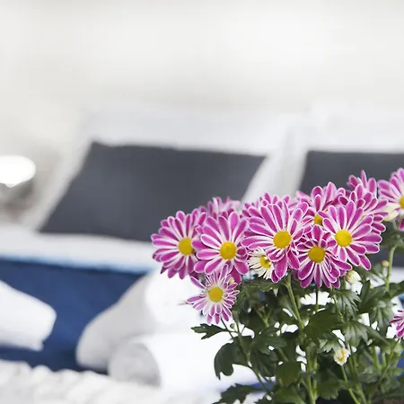 Hotel Stella D'italia