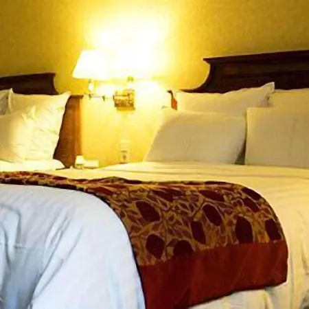 Stella D'italia - Nuova Gestione 3* Rimini