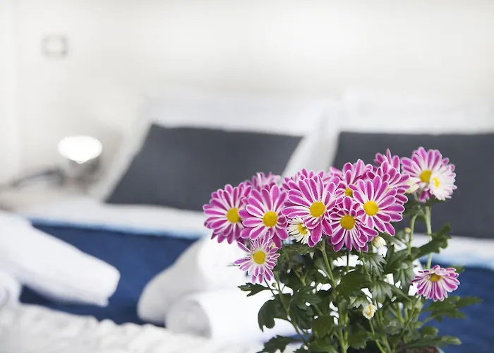 Hotel Stella D'italia - Nuova Gestione