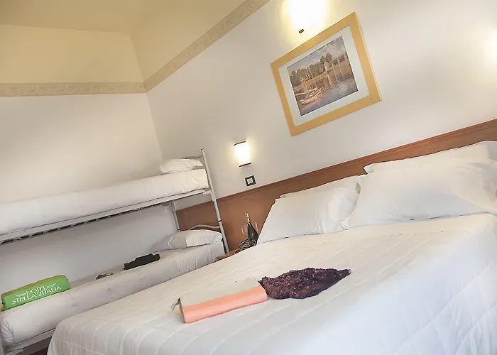 Stella D'italia - Nuova Gestione