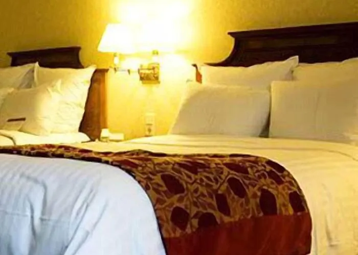 Stella D'italia - Nuova Gestione 3* 里米尼