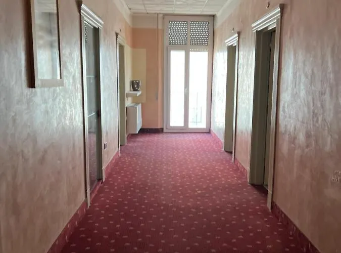 Stella D'italia - Nuova Gestione