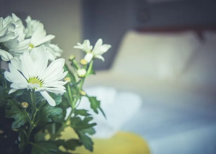 Stella D'italia - Nuova Gestione 里米尼